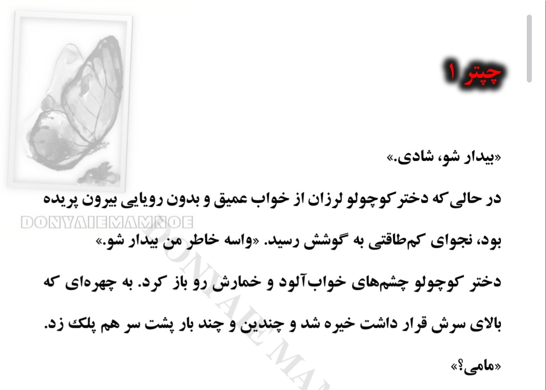 کتاب چیتر (جلد ۱) نسخه PDF فارسی