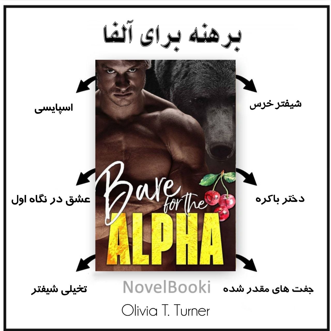 کتاب برهنه برای آلفا نسخه PDF فارسی